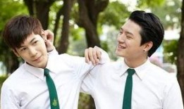 泰剧一年级生在线观看,青春校园的甜蜜成长之旅